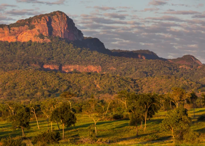 Samburu National Reserve