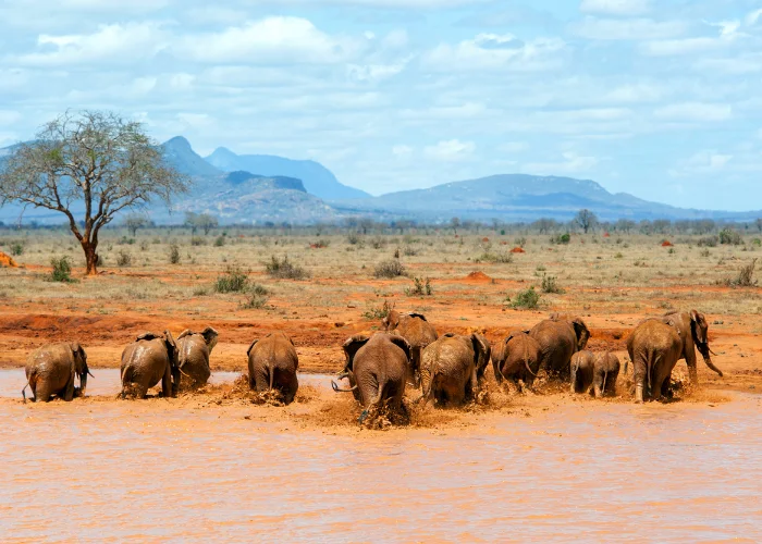 Tsavo East National Park