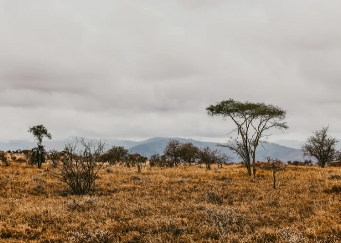 Tsavo West National Park