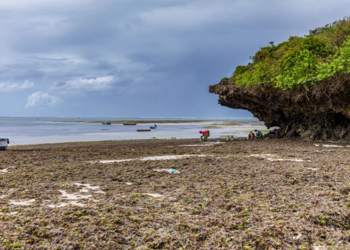 Watamu Marine Park